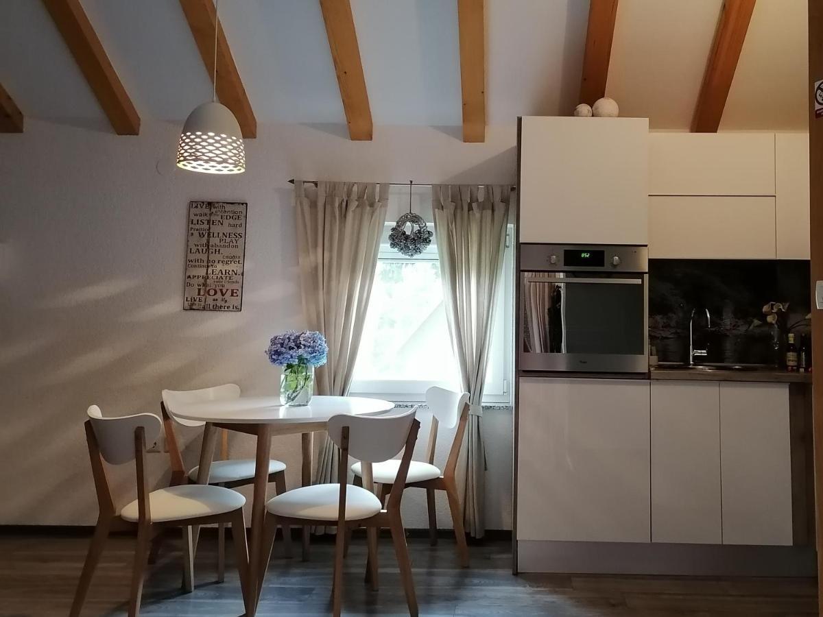 Apartment King Seliste Dreznicko Εξωτερικό φωτογραφία